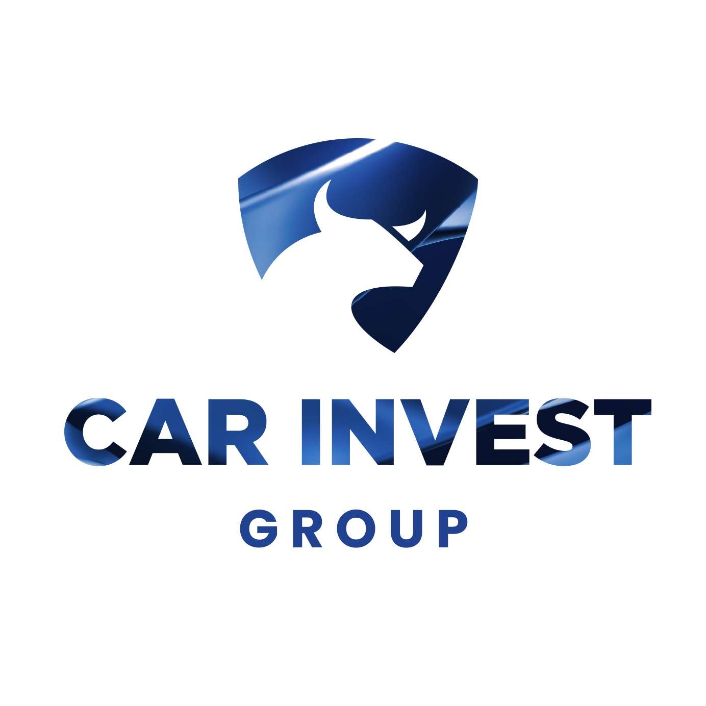 carinvest group